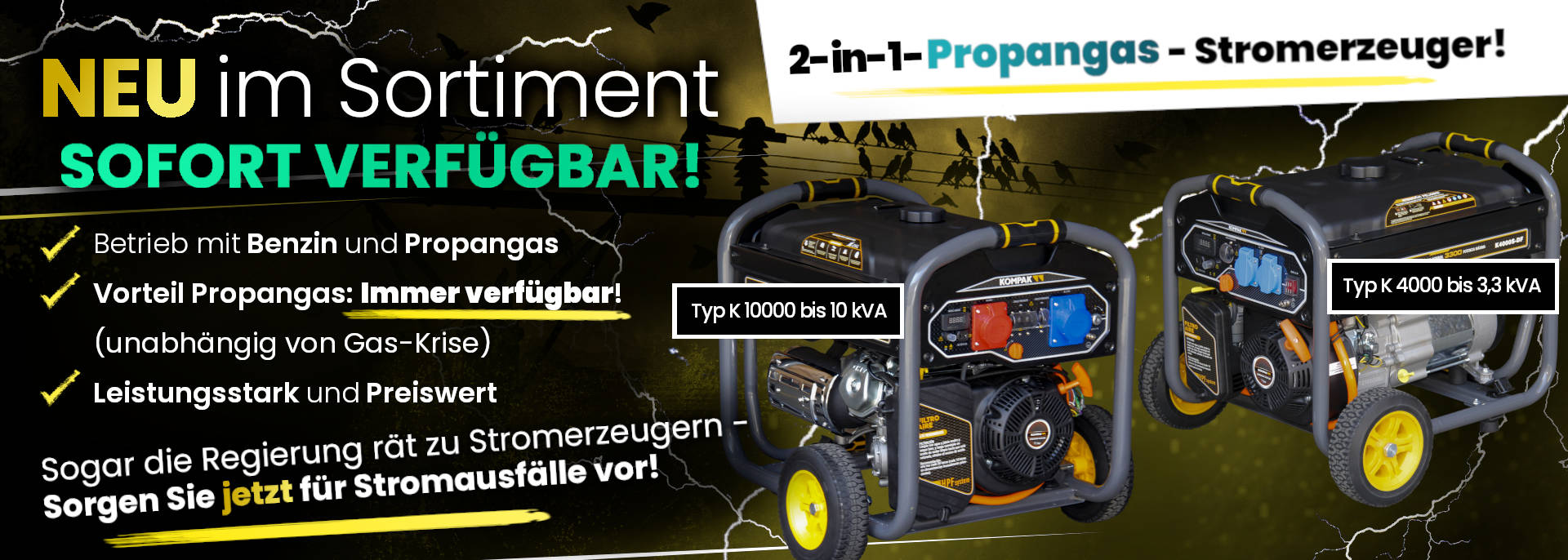 Generatoren: Propangas, Benzin Generatoren: Propangas, Benzin