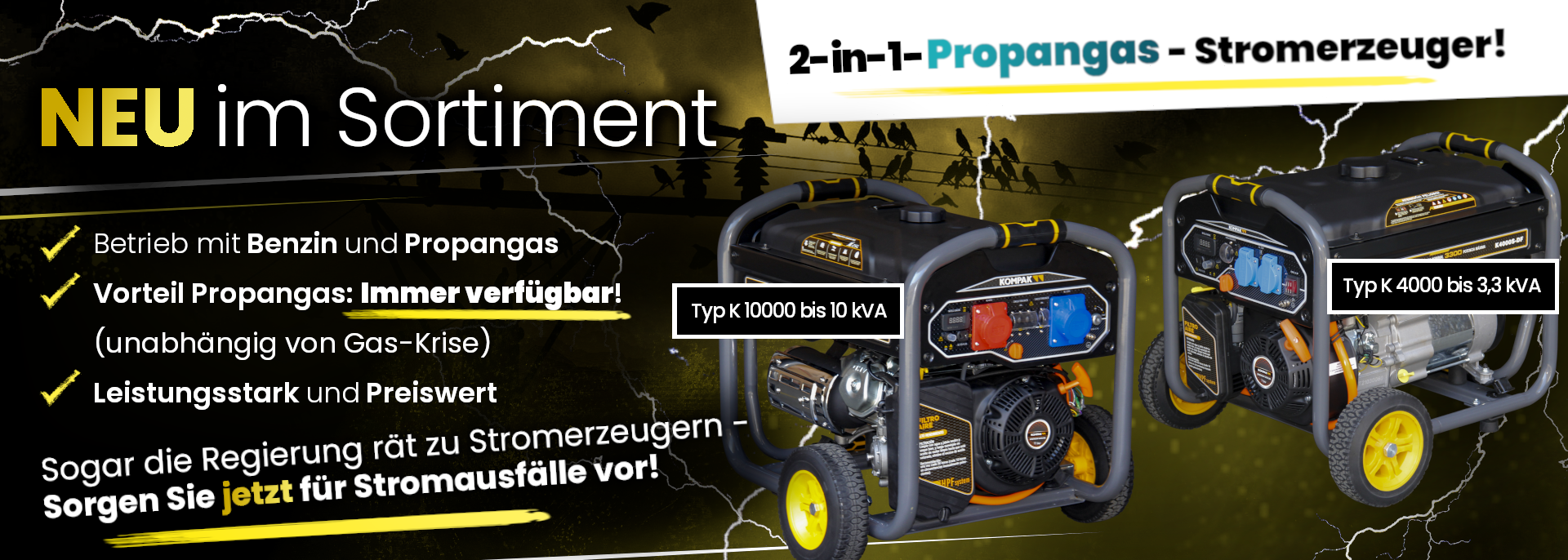 Generatoren: Propangas, Benzin Generatoren: Propangas, Benzin