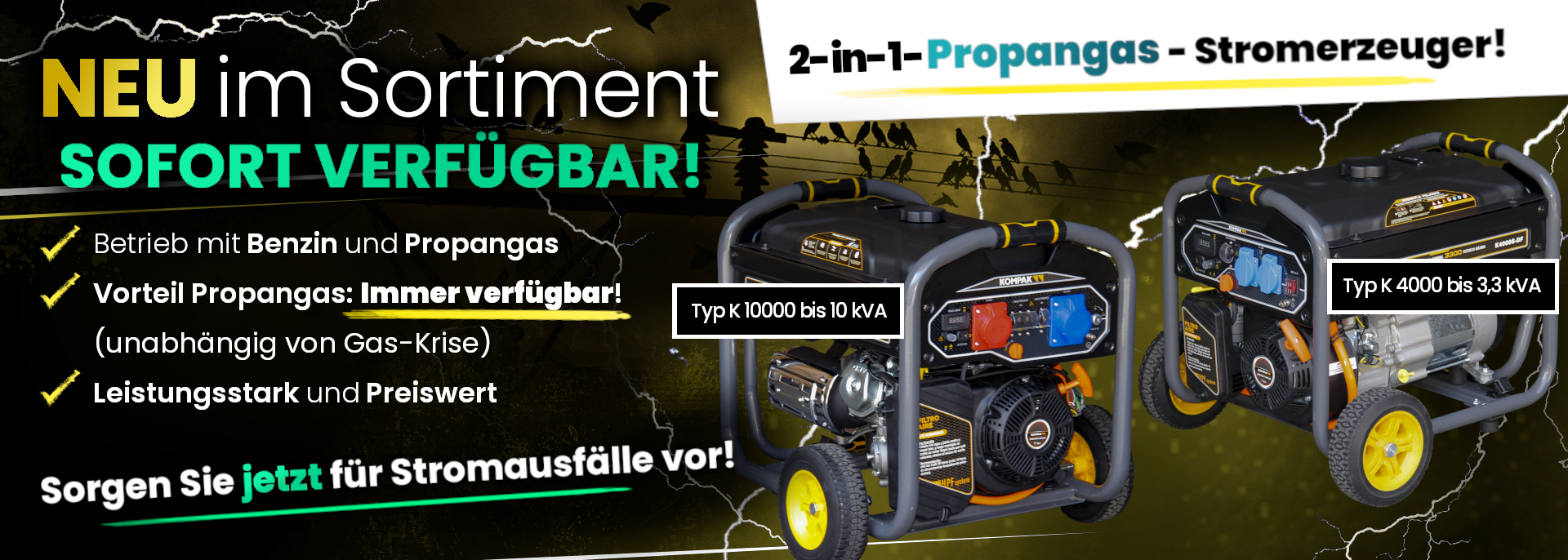 2-in-1-Propangas-Not-Stromerzeuger Typ K 10000, max. 10 kVA, 21 A, Benzin  und Propangas